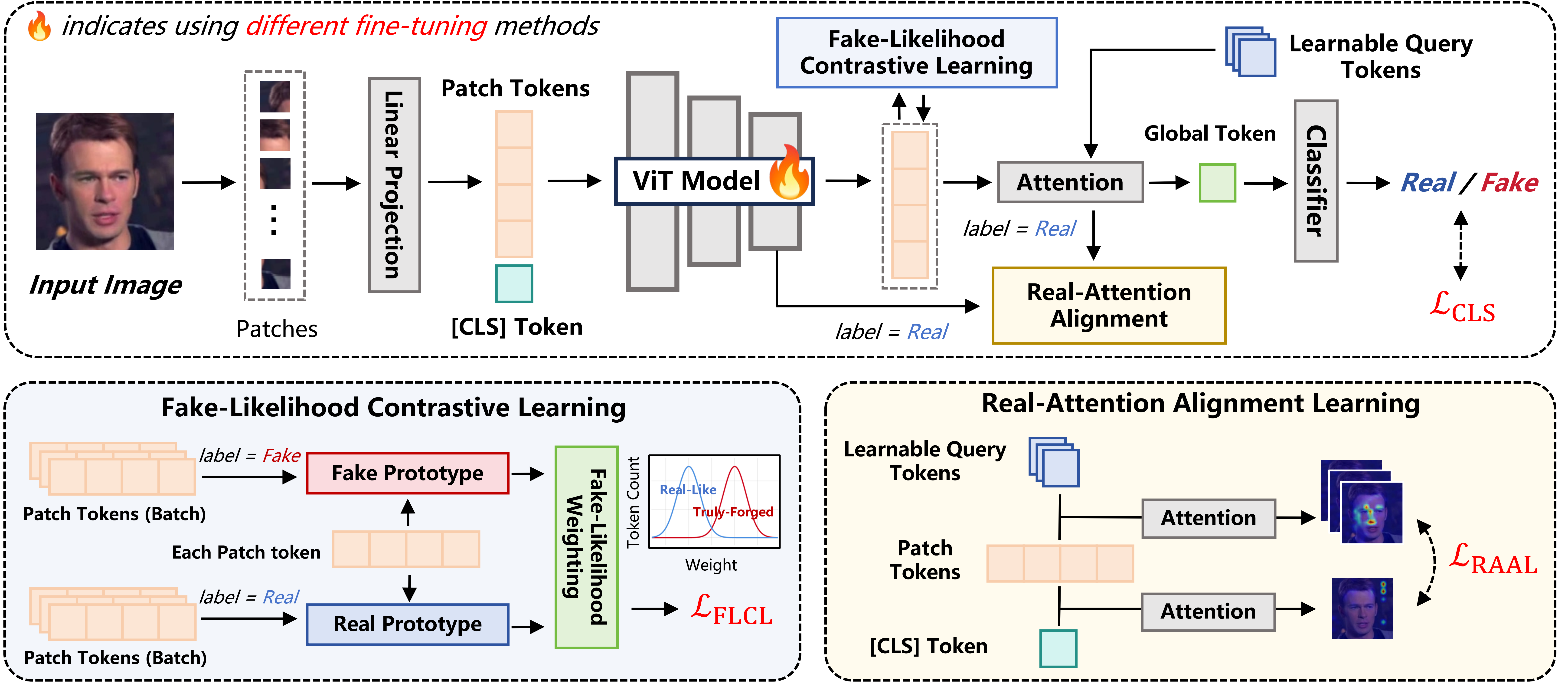 Framework